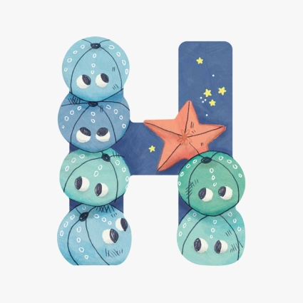 Lettre bois H bleu Mon premier alphabet Moulin Roty