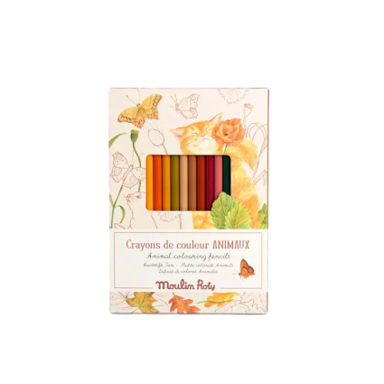 12 crayons de couleur + cartes