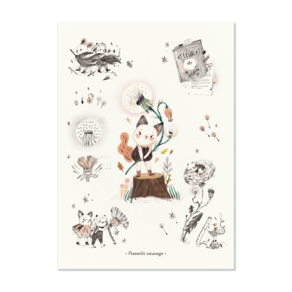 Affiche Pissenlit sauvage 50x70cm