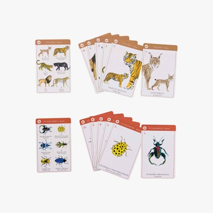 Jeu de 7 familles des espèces