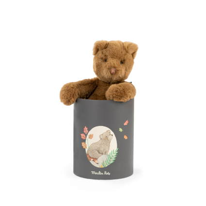 Poupee ours Arthur en boite Arthur et Louison Moulin Roty