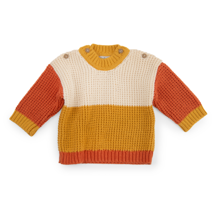 Pull tricot color block Jungle  Neil 