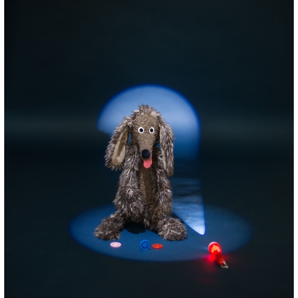 Grand Chien Pourri