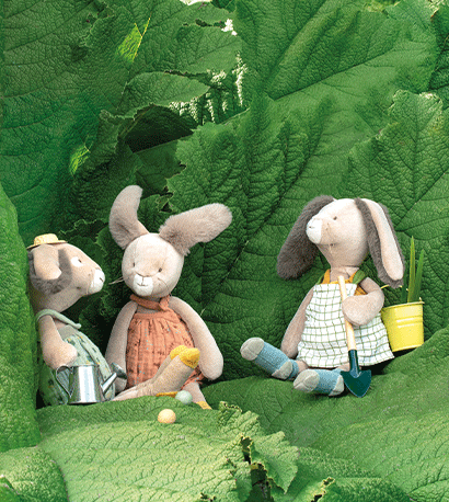 Collection Trois petits lapins